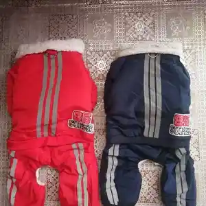 Спортивный костюм на меху для кошек и собак, Душанбе