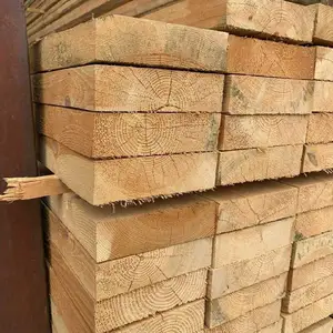 Тахтахои Сосна, Душанбе