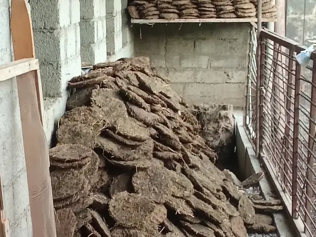 Кизяк, Турсунзаде