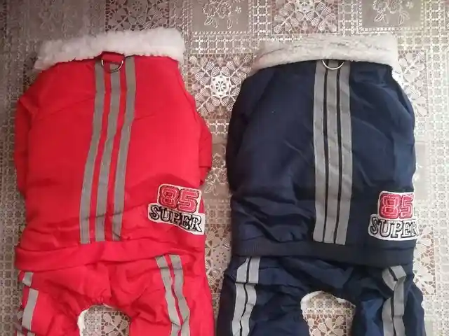 Спортивный костюм на меху для кошек и собак, Душанбе