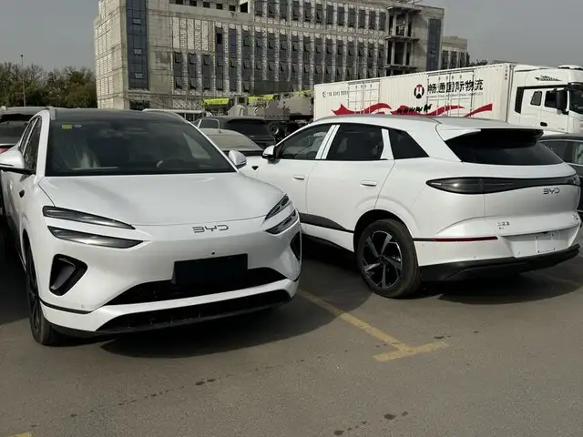 BYD Sea Lion 06