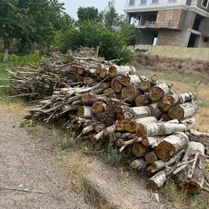 Дрова, Хуҷанд