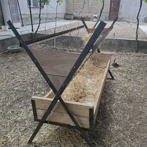 Охур барои гусфанд, Худжанд