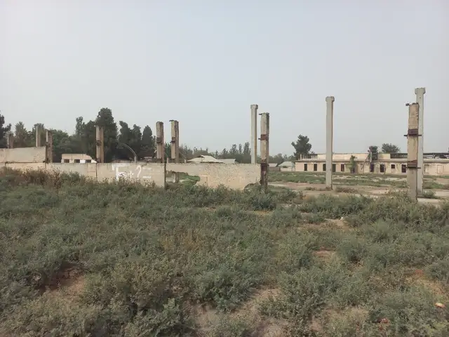 Заводи пахтатозакун, Ҷомӣ