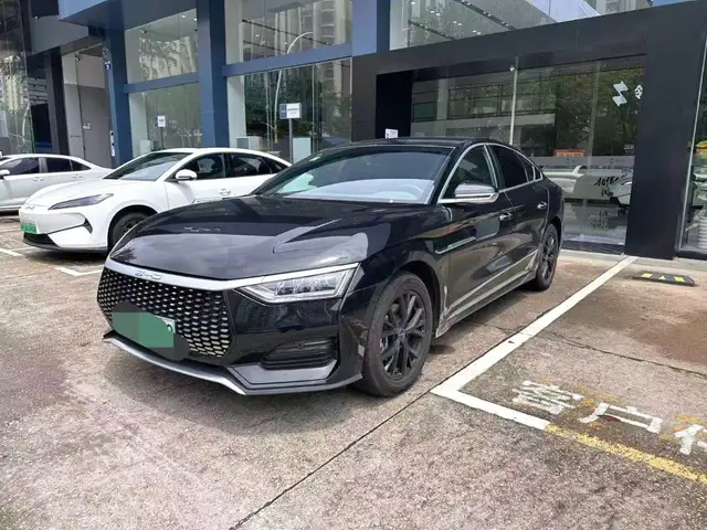 BYD E9