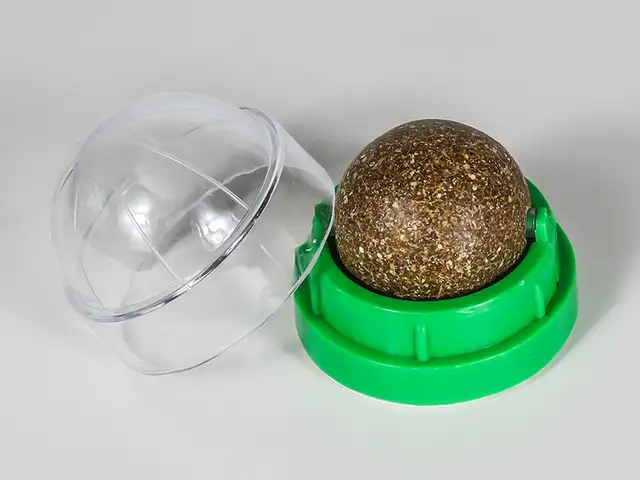 Кошачья мята, Душанбе