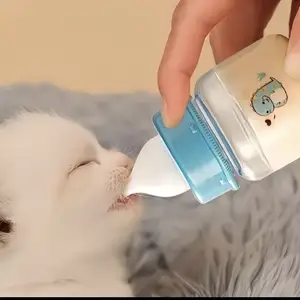 Бутылочка для котят, Худжанд