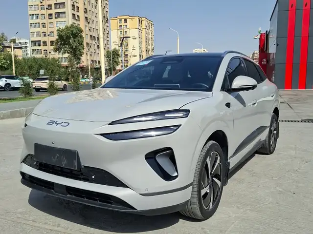 BYD Sea Lion 06