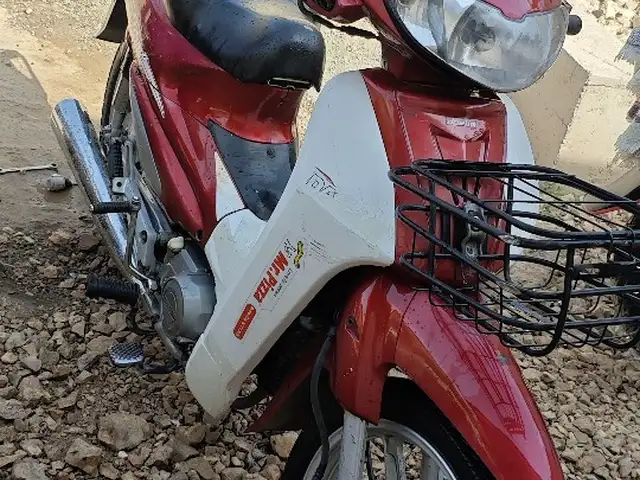 Скутер утка, Данғара