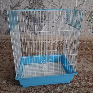 Клетка для попугая, Хуҷанд