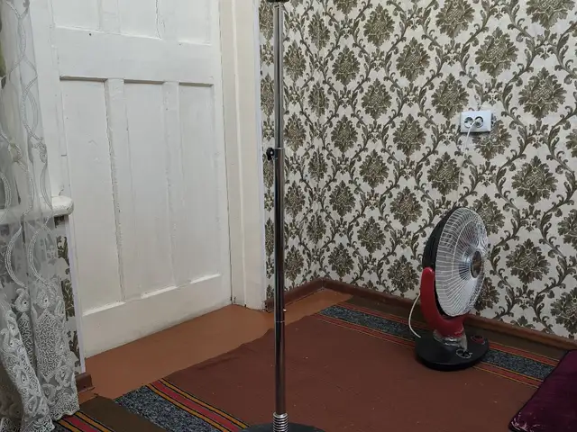 Груша стоячая, Душанбе