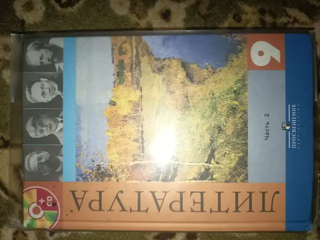 Книга литература 2 часть 9 класс, Душанбе