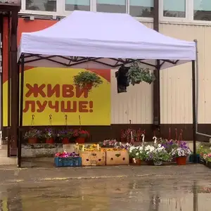 Зонтик, Душанбе