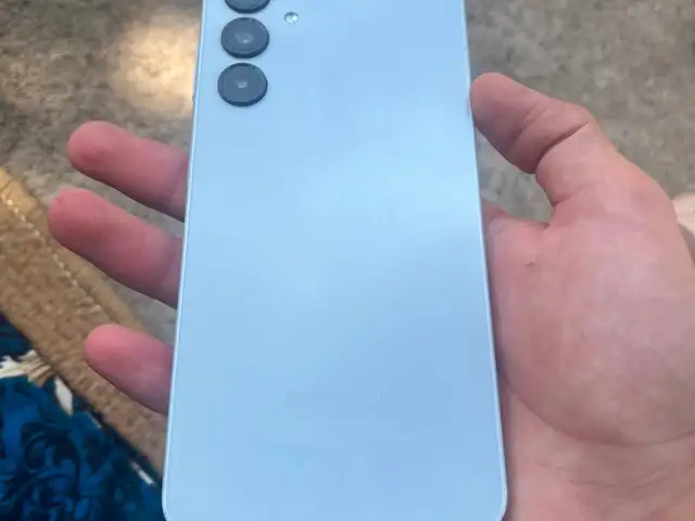 Samsung Galaxy A16, Рогун