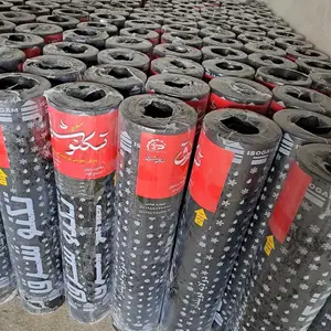 Толь фальгадор, Душанбе