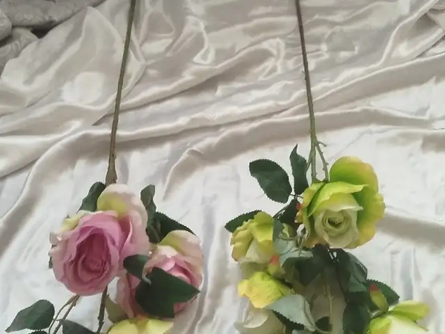 Цветы, Хуҷанд