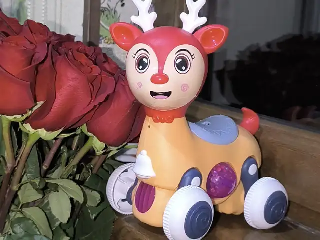 Игрушка, Душанбе