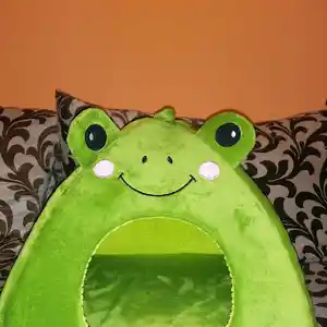 Домик для кошек и мелких собак, Душанбе