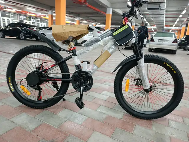 Велосипед, Душанбе