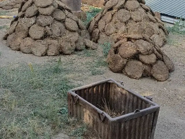 Тапаки фуруши, Душанбе