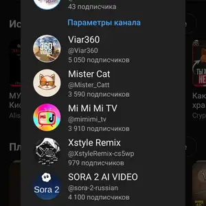 YouTube The Yolo House, Душанбе