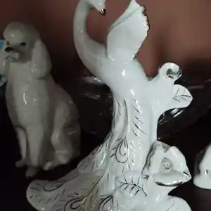 Фарфоровый павлин, Душанбе
