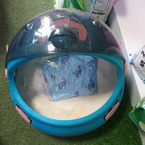 Чемодан для кошек, Худжанд