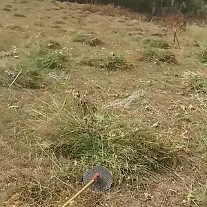 1150 дарза, Рогун