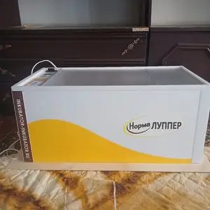 Инкубатор, Худжанд