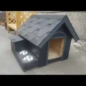 Будка для собак, Душанбе
