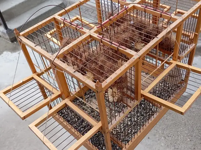 Кафас, Худжанд