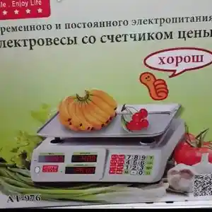 Весы АТ-976, Душанбе