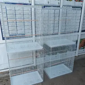 Клетка для птиц, Хуҷанд