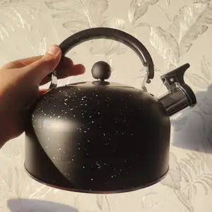 Чайник, Душанбе