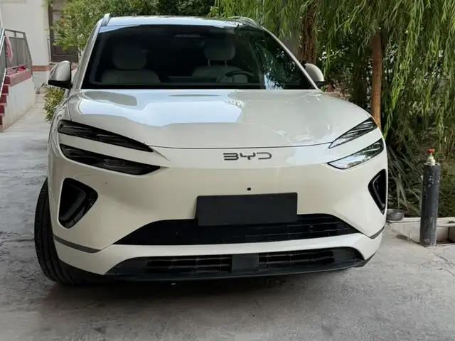 BYD Sea Lion 06