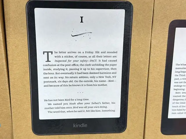 Электронная книга Amazon Kindle Paperwhite 12th Gen 2024 16 GB, Душанбе