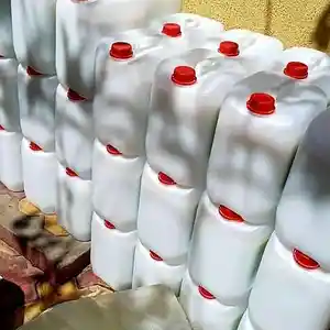 Грунтовка водяной, Душанбе