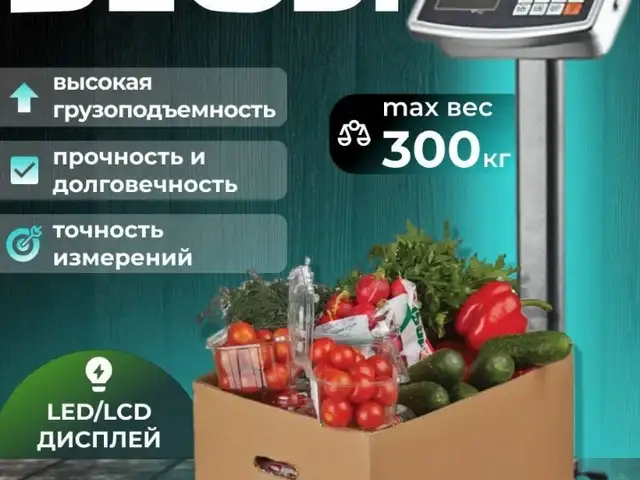 Тарозу 300 кг, Душанбе