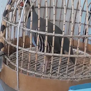 Кабк, Душанбе