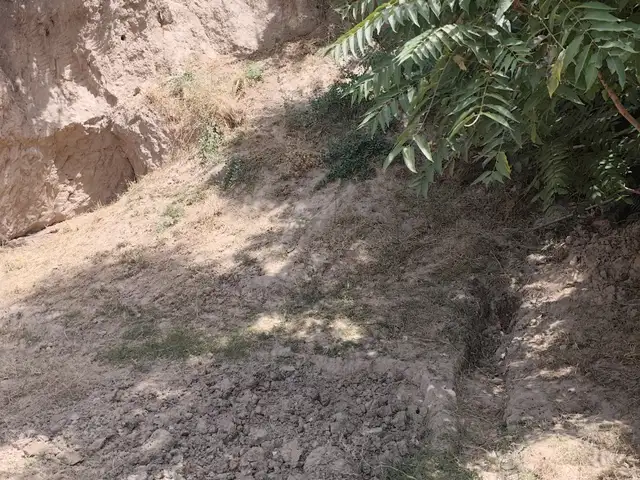 Хок бе пул, Душанбе