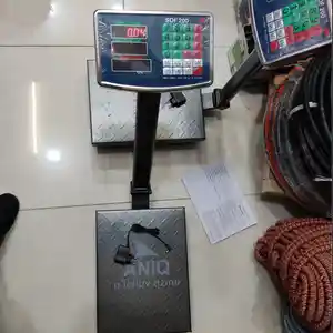 Весы, Душанбе