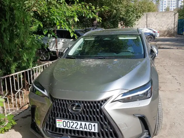 Lexus NX series
