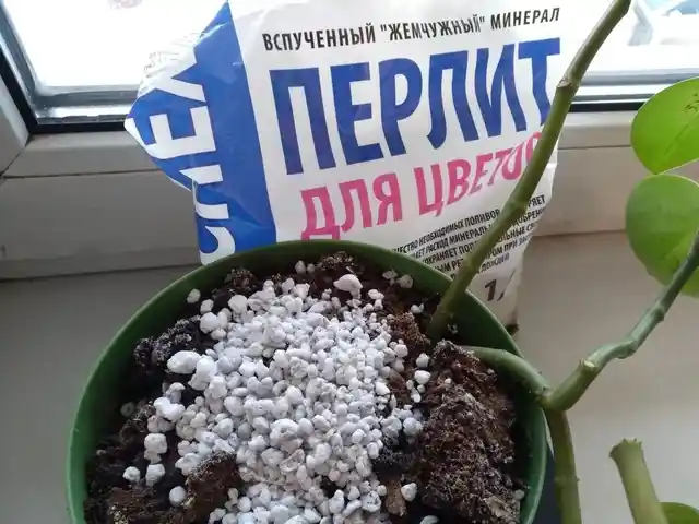 Перлит удобрение для растений, Хуҷанд