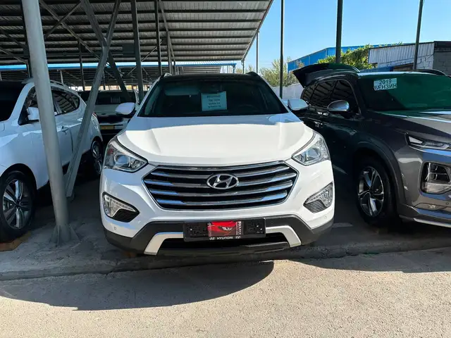 Hyundai Maxcruz