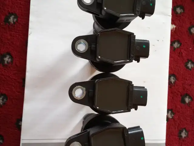 Катушка зажигания, Рудаки