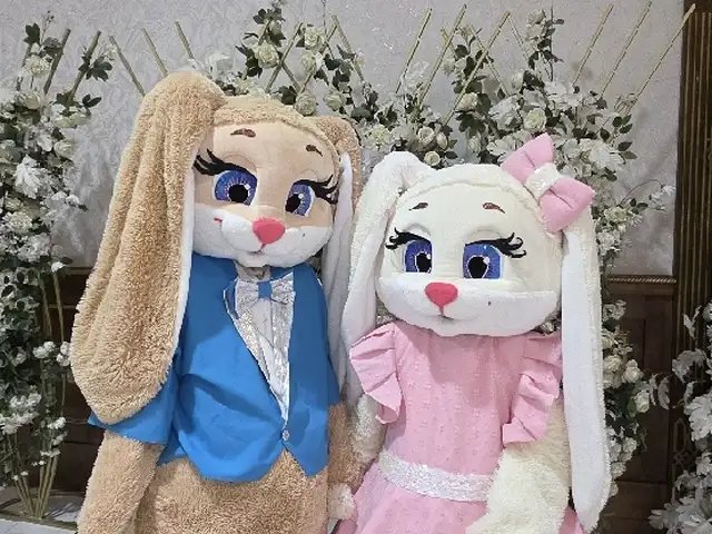Услуги аниматоров, Душанбе