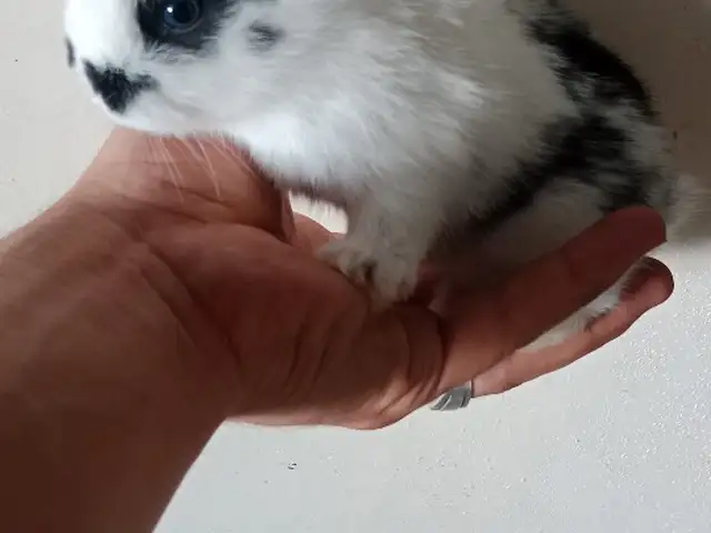 Харгушча 9км, Душанбе