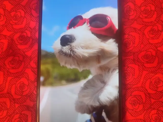 Xiaomi Redmi Note 10, Душанбе