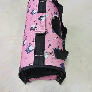Сумка для кошек, Худжанд