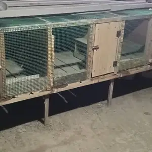 Хоначаи харгуш, Душанбе